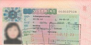 Шенгенская виза в швецию для россиян Подача документов на визу в швецию
